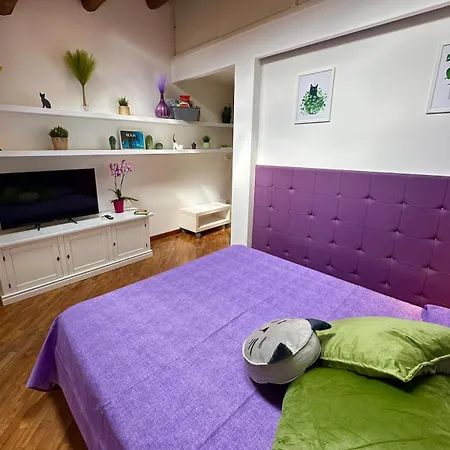 Apartment La Gatta Sul Tetto *