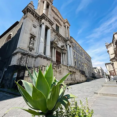 La Gatta Sul Tetto Catania