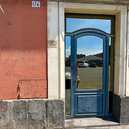 La Gatta Sul Tetto *