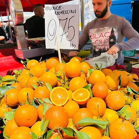 La Gatta Sul Tetto *