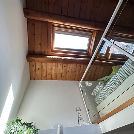 La Gatta Sul Tetto Apartment