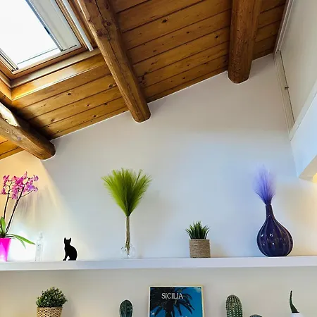 La Gatta Sul Tetto Apartment Catania