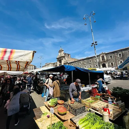 La Gatta Sul Tetto Catania